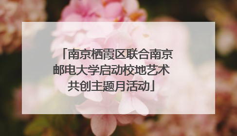 南京栖霞区联合南京邮电大学启动校地艺术共创主题月活动