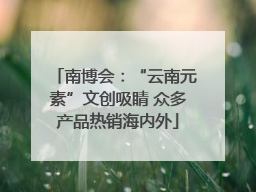 南博会：“云南元素”文创吸睛 众多产品热销海内外