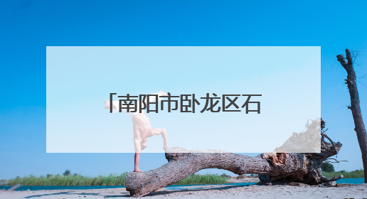 南阳市卧龙区石桥镇：家校联动共筑平安上学路