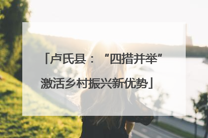 卢氏县：“四措并举”激活乡村振兴新优势