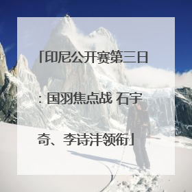 印尼公开赛第三日：国羽焦点战 石宇奇、李诗沣领衔
