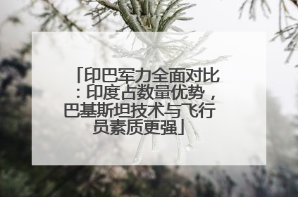 印巴军力全面对比：印度占数量优势，巴基斯坦技术与飞行员素质更强