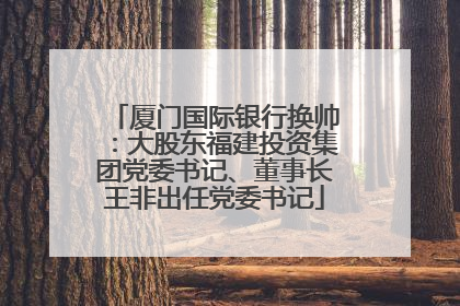 厦门国际银行换帅：大股东福建投资集团党委书记、董事长王非出任党委书记