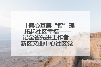 倾心基层“智”理 托起社区幸福——记全省先进工作者、新区文曲中心社区党委书记董世弘