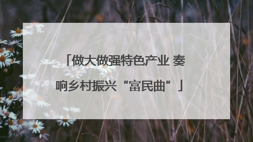 做大做强特色产业 奏响乡村振兴“富民曲”