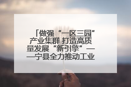 做强“一区三园”产业集群 打造高质量发展“新引擎”——宁县全力推动工业经济提质增效