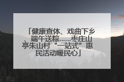 健康查体、戏曲下乡、端午送粽……枣庄山亭朱山村“一站式”惠民活动暖民心