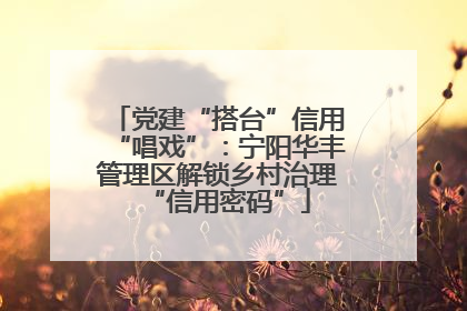党建“搭台”信用“唱戏”：宁阳华丰管理区解锁乡村治理“信用密码”