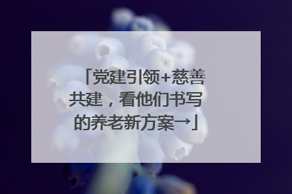党建引领+慈善共建，看他们书写的养老新方案→