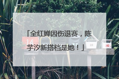 全红婵因伤退赛，陈芋汐新搭档是她！