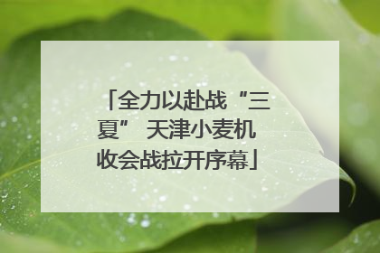 全力以赴战“三夏” 天津小麦机收会战拉开序幕