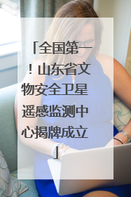 全国第一！山东省文物安全卫星遥感监测中心揭牌成立