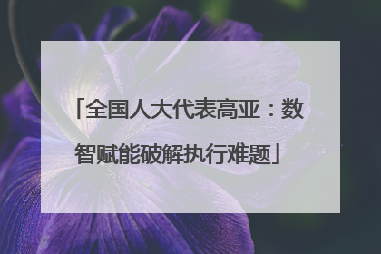 全国人大代表高亚：数智赋能破解执行难题