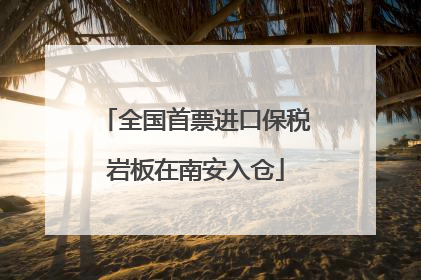 全国首票进口保税岩板在南安入仓