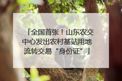 全国首张！山东农交中心发出农村基站用地流转交易“身份证”
