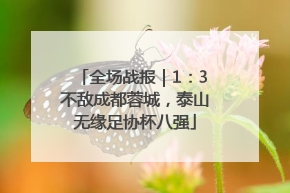 全场战报｜1：3不敌成都蓉城，泰山无缘足协杯八强