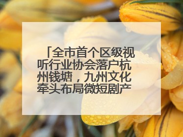 全市首个区级视听行业协会落户杭州钱塘，九州文化牵头布局微短剧产业高地