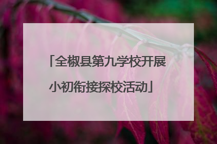 全椒县第九学校开展小初衔接探校活动