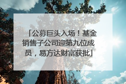 公募巨头入场！基金销售子公司迎第九位成员，易方达财富获批