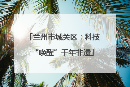 兰州市城关区：科技“唤醒”千年非遗