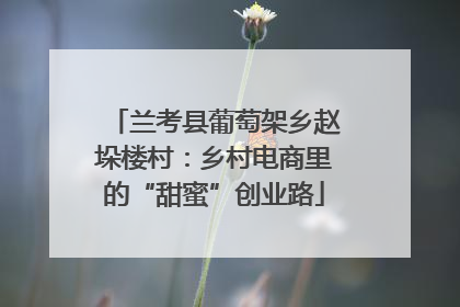 兰考县葡萄架乡赵垛楼村：乡村电商里的“甜蜜”创业路