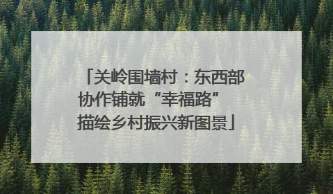 关岭围墙村：东西部协作铺就“幸福路” 描绘乡村振兴新图景