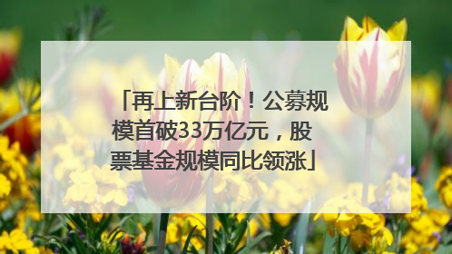 再上新台阶！公募规模首破33万亿元，股票基金规模同比领涨