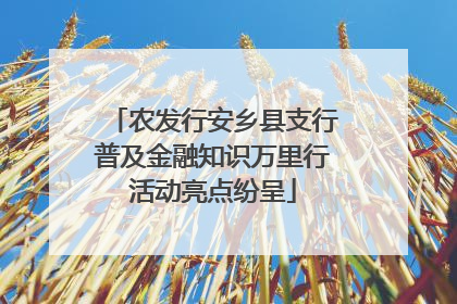 农发行安乡县支行普及金融知识万里行活动亮点纷呈