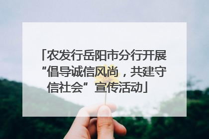 农发行岳阳市分行开展“倡导诚信风尚，共建守信社会”宣传活动