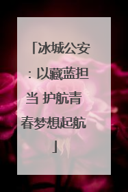 冰城公安：以藏蓝担当 护航青春梦想起航
