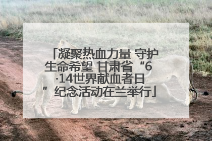 凝聚热血力量 守护生命希望 甘肃省“6 ·14世界献血者日”纪念活动在兰举行