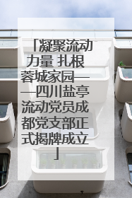 凝聚流动力量 扎根蓉城家园——四川盐亭流动党员成都党支部正式揭牌成立