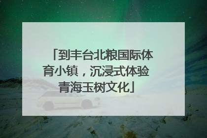到丰台北粮国际体育小镇，沉浸式体验青海玉树文化