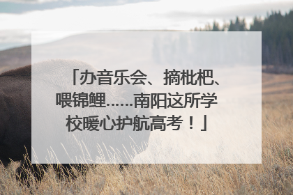 办音乐会、摘枇杷、喂锦鲤……南阳这所学校暖心护航高考！