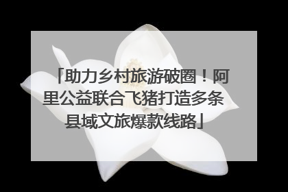 助力乡村旅游破圈！阿里公益联合飞猪打造多条县域文旅爆款线路