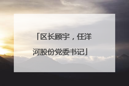 区长顾宇，任洋河股份党委书记