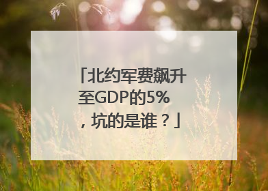 北约军费飙升至GDP的5%，坑的是谁？