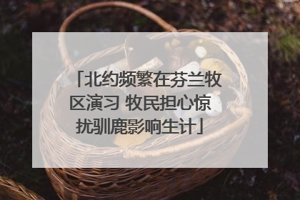 北约频繁在芬兰牧区演习 牧民担心惊扰驯鹿影响生计