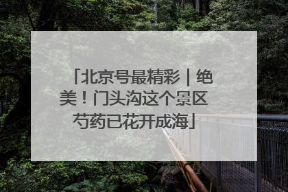 北京号最精彩｜绝美！门头沟这个景区芍药已花开成海
