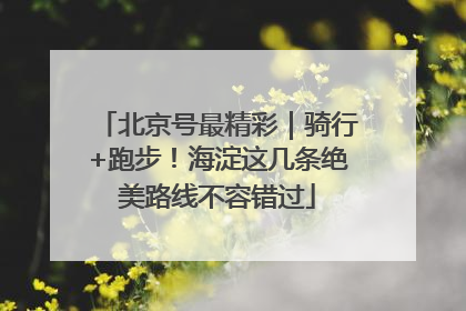 北京号最精彩｜骑行+跑步！海淀这几条绝美路线不容错过