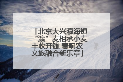 北京大兴瀛海镇“瀛”麦相承小麦丰收开镰 奏响农文旅融合新乐章