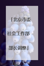 北京市委社会工作部部长调整
