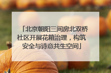 北京朝阳三间房北双桥社区开展花箱治理，构筑安全与诗意共生空间