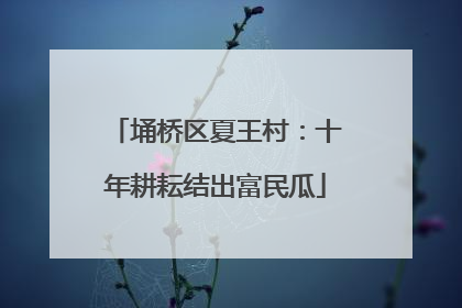 埇桥区夏王村：十年耕耘结出富民瓜