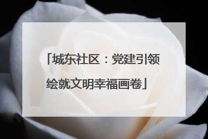 城东社区：党建引领绘就文明幸福画卷