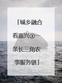 城乡融合看嘉兴③一条长三角农事服务链