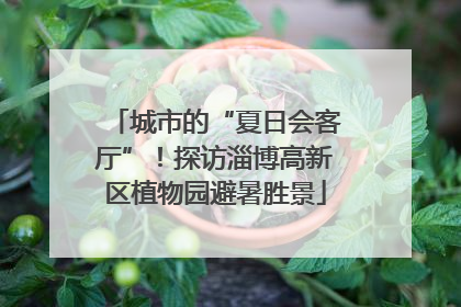 城市的“夏日会客厅”！探访淄博高新区植物园避暑胜景