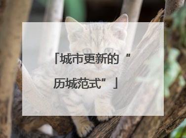 城市更新的“历城范式”