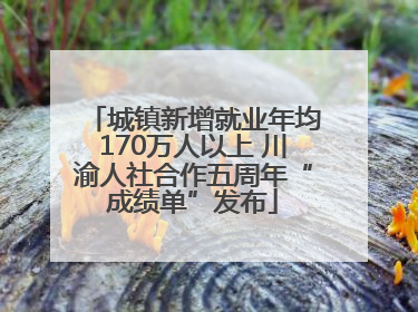 城镇新增就业年均170万人以上 川渝人社合作五周年“成绩单”发布