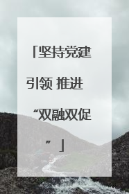 坚持党建引领 推进“双融双促”